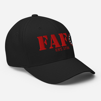 Patriotic Twill Hat for Men and Women