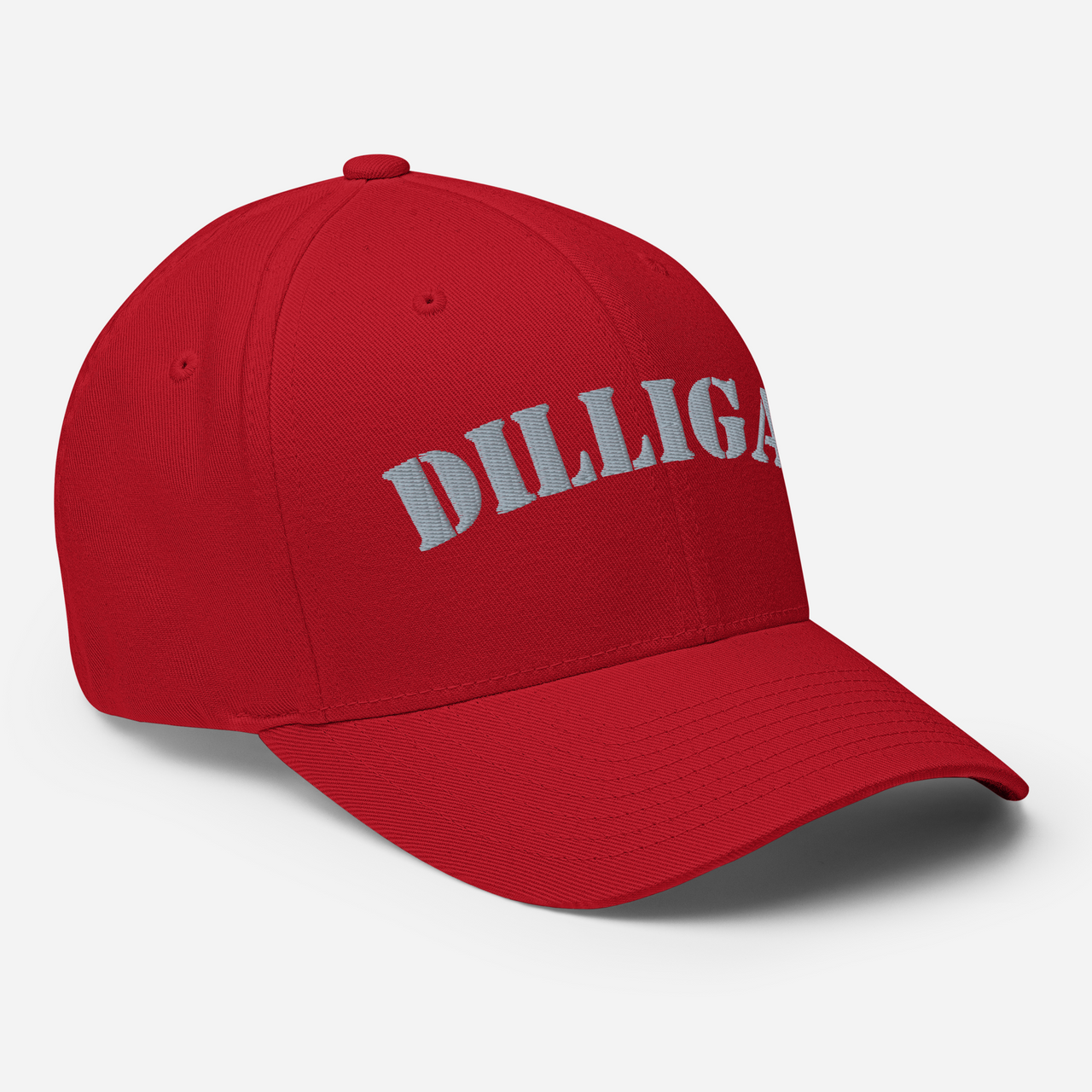 Side View of Structured DILLIGAF Twill Cap