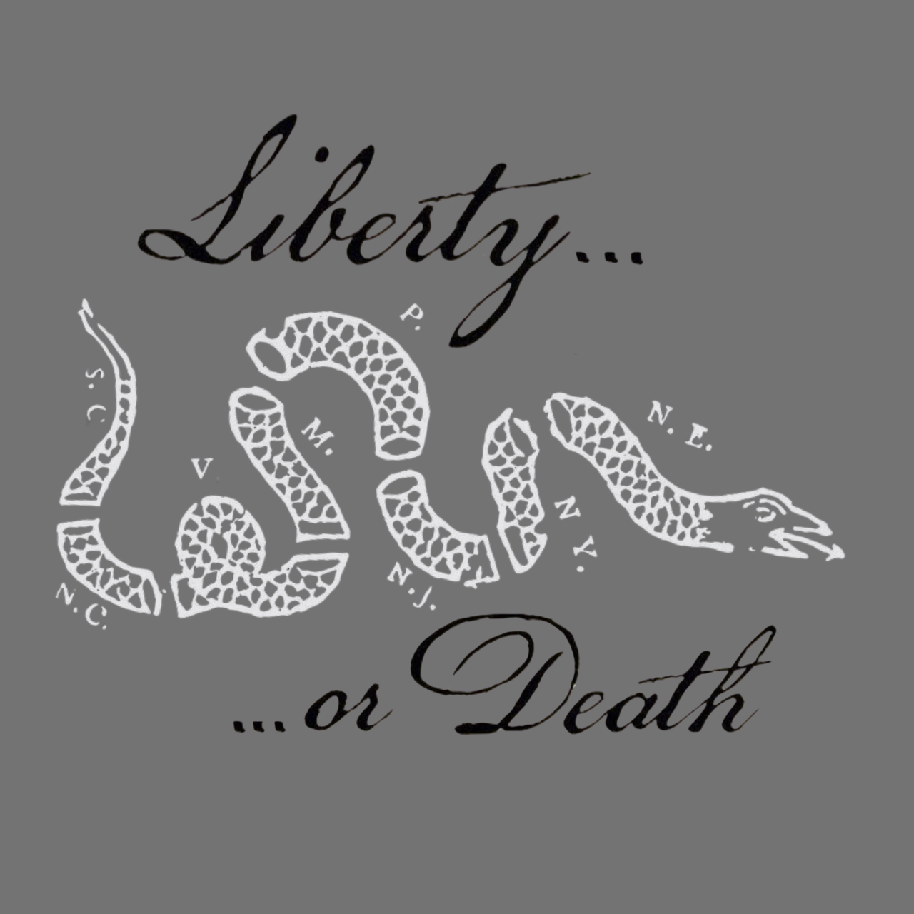 Liberty or Death hoodie freedom america first apparel
